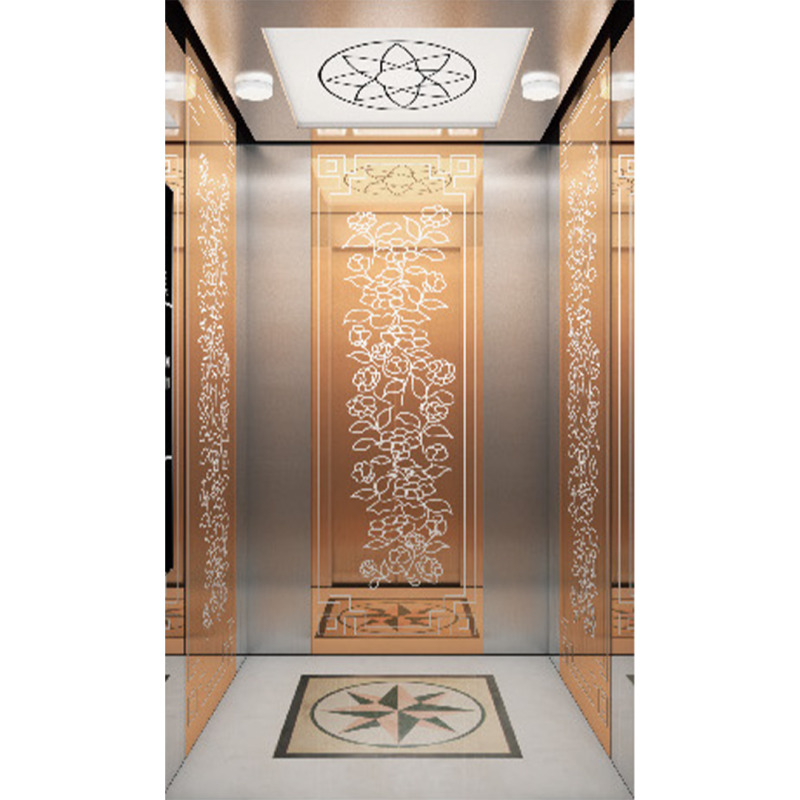Visual Reference: Fuji Home Elevator Model C Modern Elegance With Premium Finishes