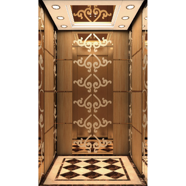 FUJI-HITECH Home Elevator - Model H Elegant Woodgrain Design with Sleek Modern Accents